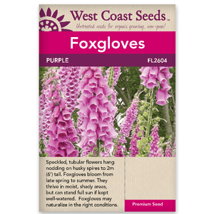 Foxgloves Purple - West Coast Seeds