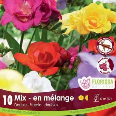 Freesia, Double - Mix, 10 Pack