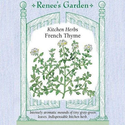French Thyme - Renee's Garden Seeds
