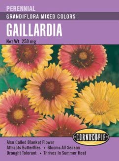 Gaillardia Grandiflora Mixed Colours - Cornucopia Seeds