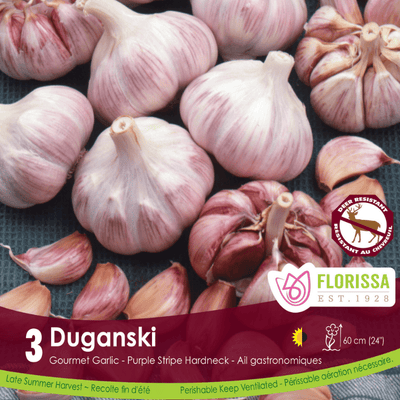 Garlic - Duganski, 3 Pack (Fall Planting)