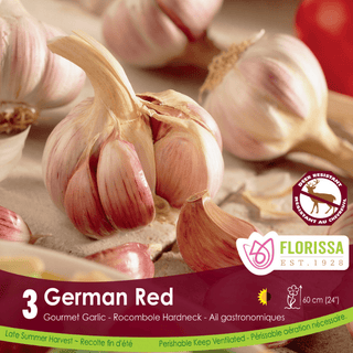 Garlic - German Red, 3 Pack (Fall Planting)