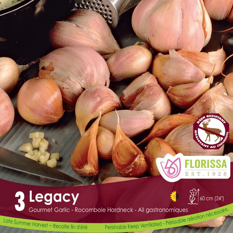 Garlic - Legacy, 3 Pack