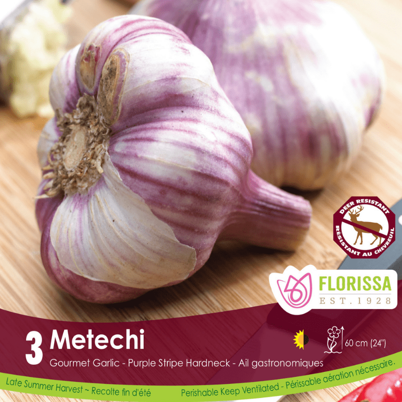 Garlic - Metechi, 3 Pack