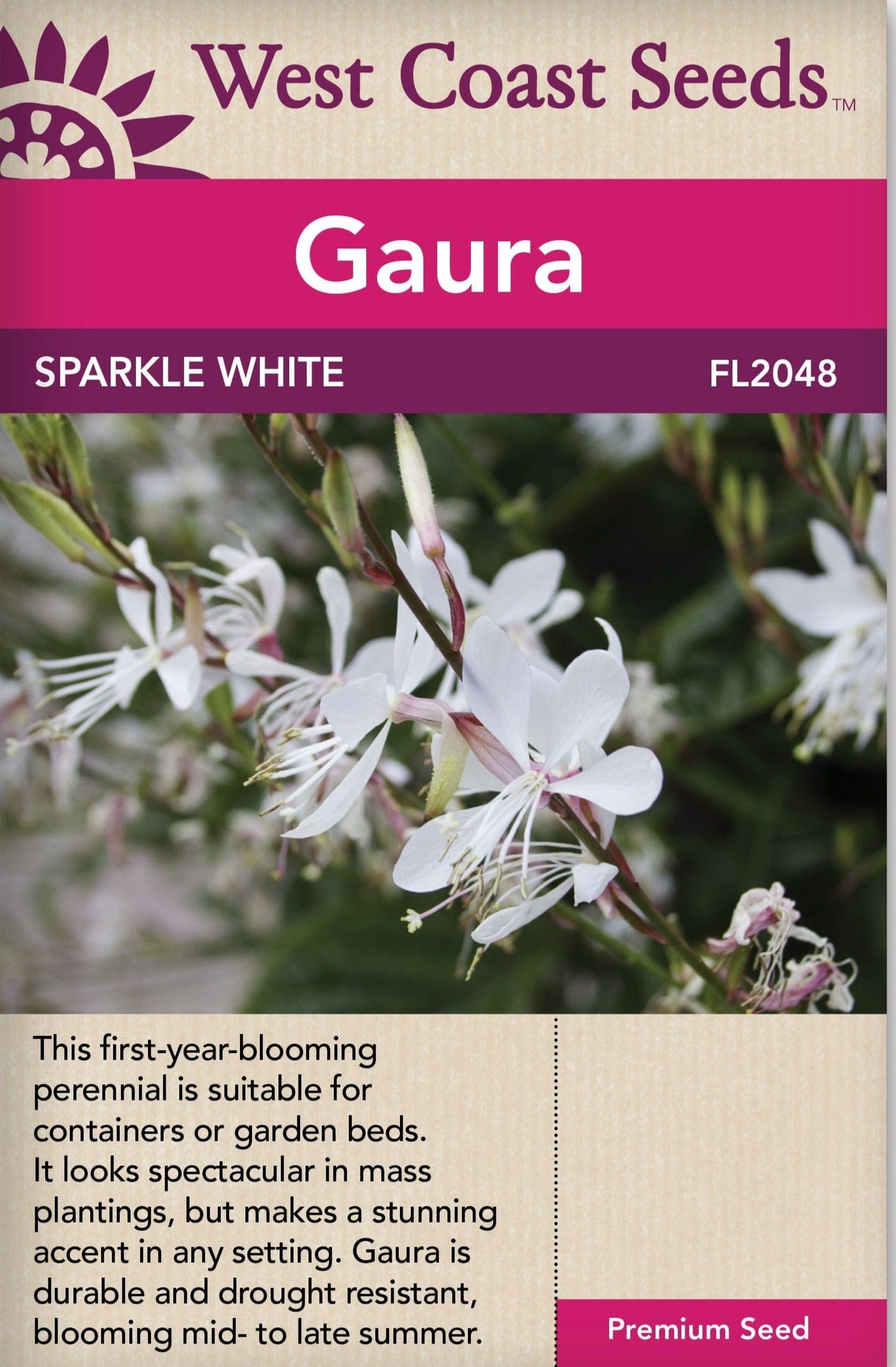Gaura Sparkle White - West Coast Seeds