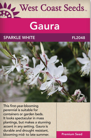 Gaura Sparkle White - West Coast Seeds