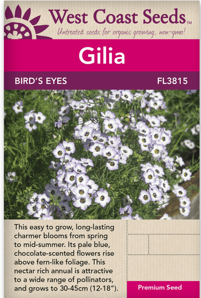 Gilia Bird's Eyes - West Coast Seeds