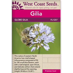 Gilia Globe Gilia - West Coast Seeds