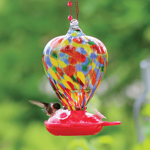 Glass Balloon Hummingbird Feeder
