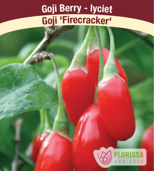 Goji Berry - Firecracker