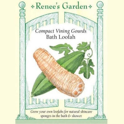 Gourd Bath Loofah - Renee's Garden Seeds