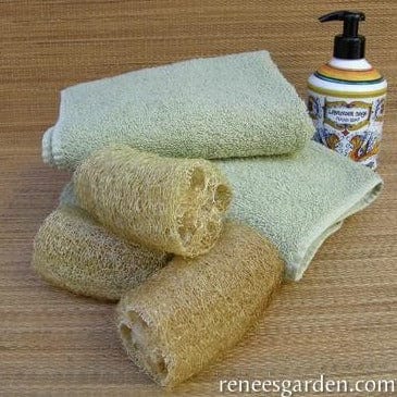 Gourd Bath Loofah - Renee's Garden Seeds