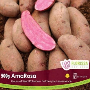 Gourmet Potatoes AmaRosa 