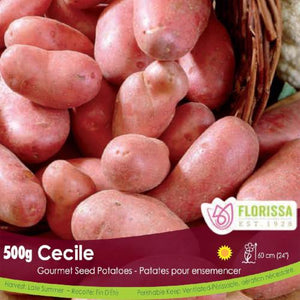 Gourmet Potatoes Cecile 