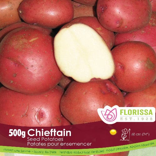 Potatoes Gourmet Chieftain