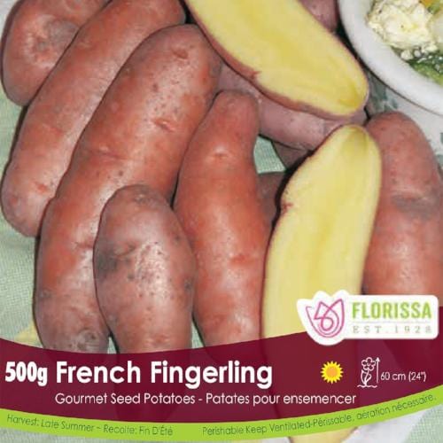 Gourmet Potato - French Fingerling, 500g