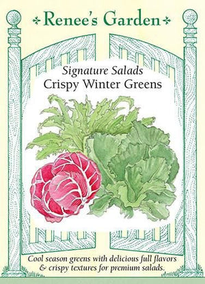 Greens Crispy Winter - Renee's Garden