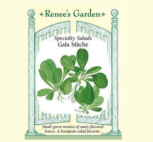 Greens Gala Mache - Renee's Garden Seeds