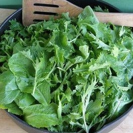 Greens Mild Mustard Mix - Renee's Garden Seeds