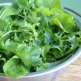 Greens Mild Mustard Mix - Renee's Garden Seeds