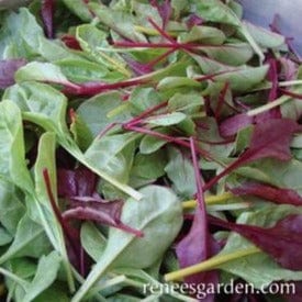 Greens Renee's Braising Mix - Renee's Garden Seeds