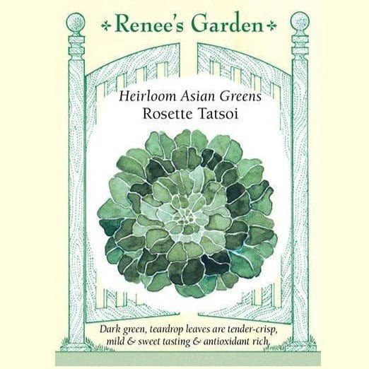 Greens Rosette Tatsoi - Renee's Garden Seeds