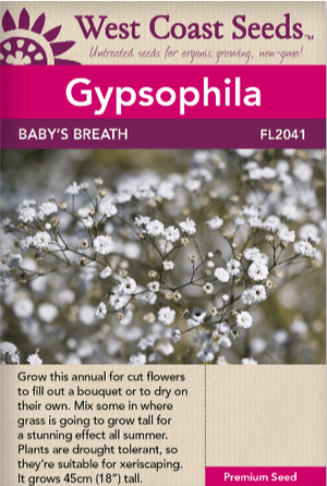 Gypsophila Baby's Breath - West Coast Seeds