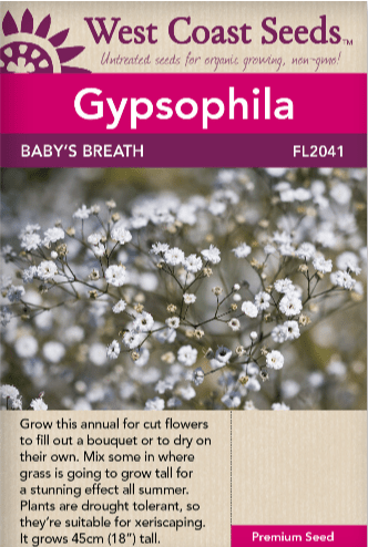 Gypsophila Baby's Breath - West Coast Seeds