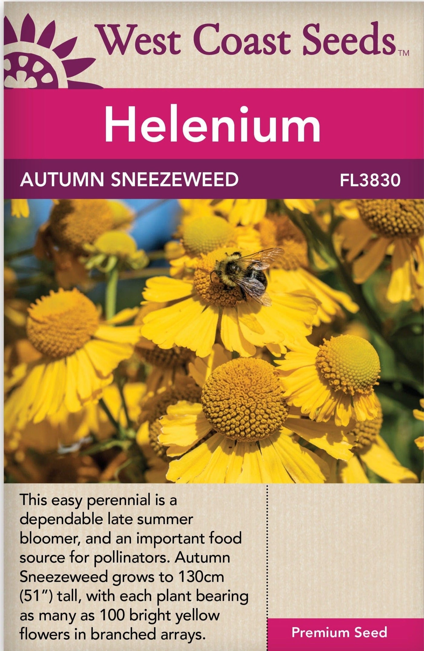 Helenium Autumn Sneezeweed - West Coast Seeds