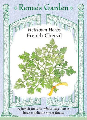 Herb French Chervil - Renee's Garden