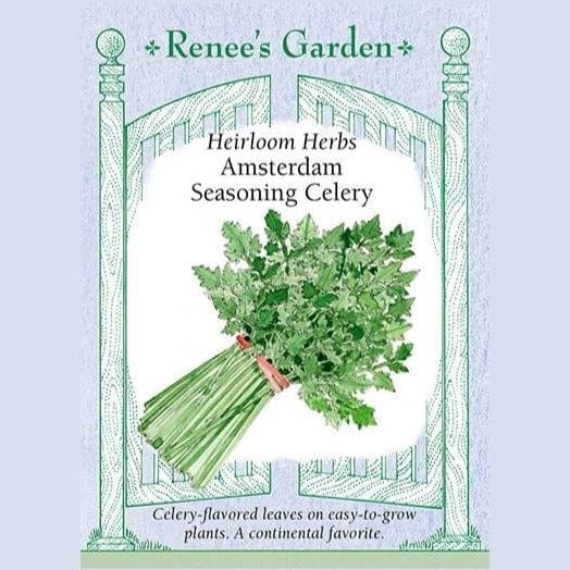 Herb Seasoning Celery - Renee`s Garden Seeds