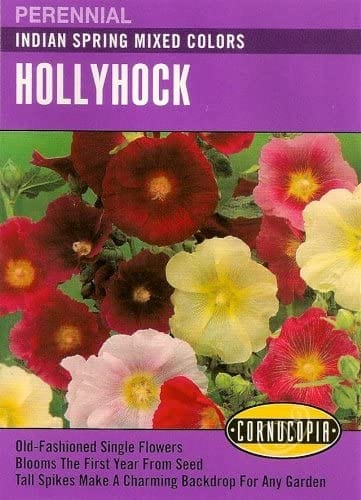 Hollyhock Indian Spring Mix - Cornucopia Seeds