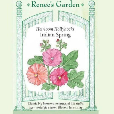 Old Fashioned Hollyhocks Indian Spring