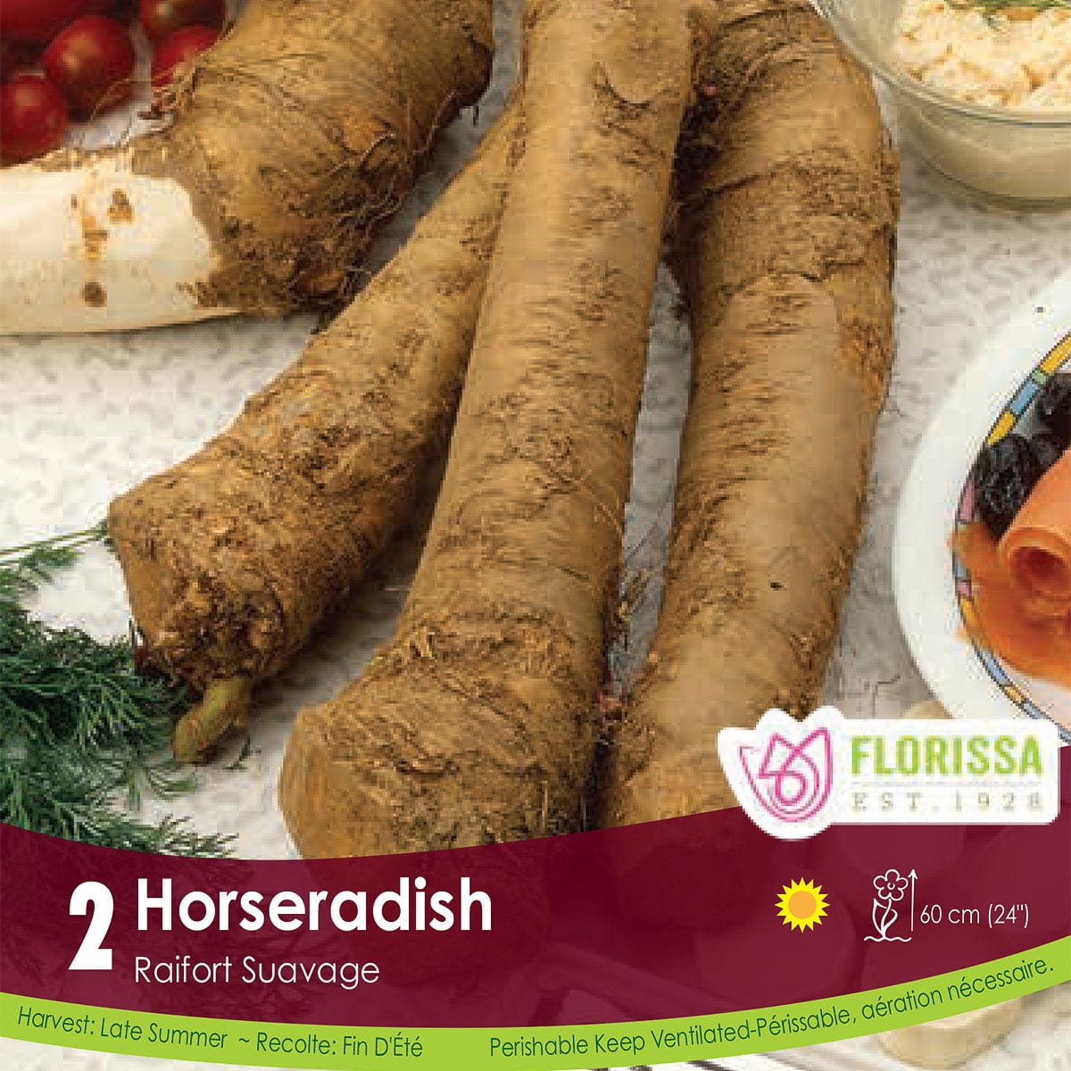 Horseradish starter garden