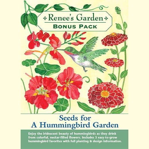 Hummingbird Garden - Renee's Garden 