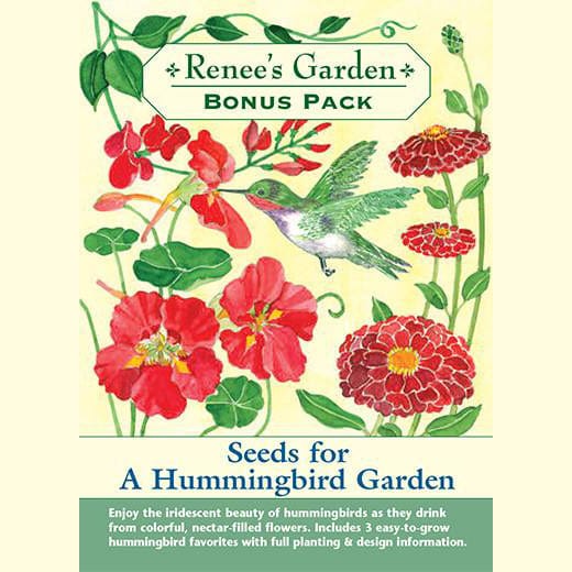 Hummingbird Garden Bonus Pack Renee's Garden Wildwood Outdoor Living