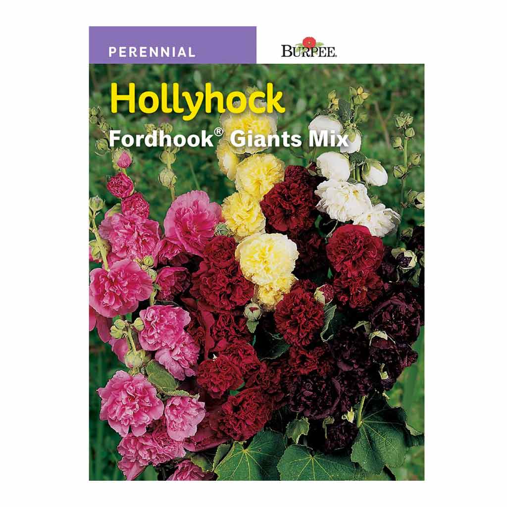 Hollyhock Fordhook Giant - Burpee Seeds