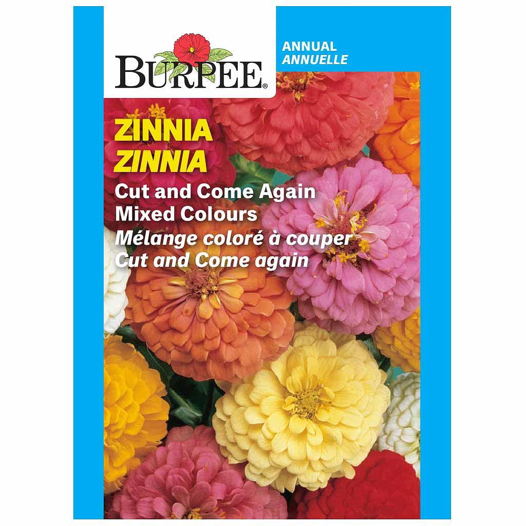 Zinnia Cut & Come Again - Burpee Seeds