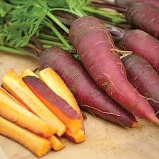 Carrot Cosmic Purple - Salt Spring Seeds