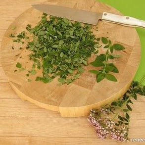 Italian Oregano Heirloom - Renee's Garden Seeds