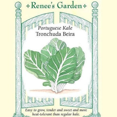 Kale Beira Portuguese - Renee's Garden Seeds