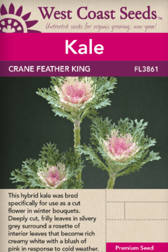 Kale Crane Feather King - West Coast Seeds