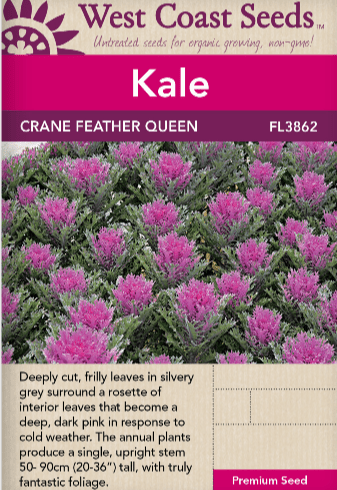 Kale Crane Feather Queen - West Coast Seeds