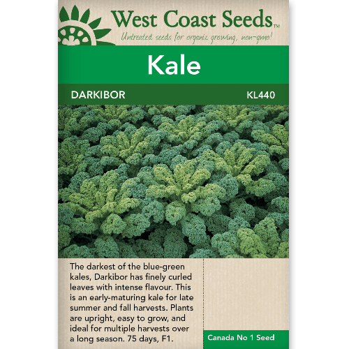Kale Darkibor - West Coast Seeds