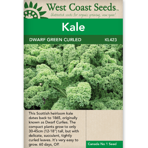 Kale Dwarf Green Curled - West Coast Seeds