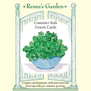 Kale Green Curls - Renee's Garden 