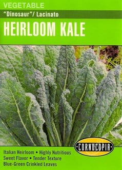 Kale Lacinato Dinosaur - Cornucopia Seeds