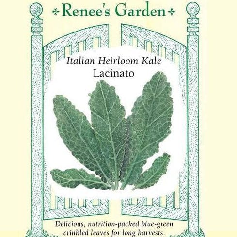 Kale Lacinato - Renee's Garden