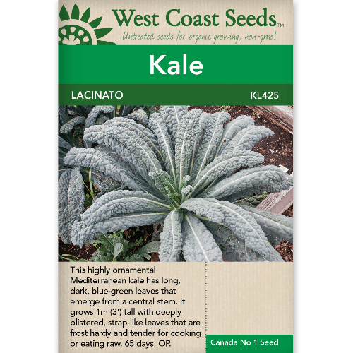 Kale Lacinato - West Coast Seeds