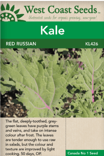 Kale Red Russian - West Coast Seeds